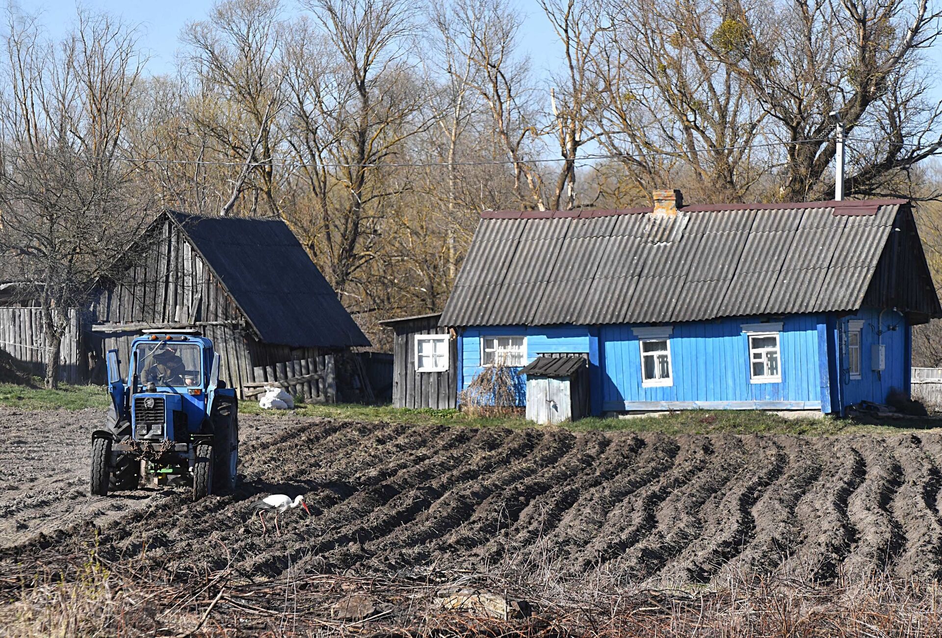 В деревне Переров на Полесье идет сев картофеля - Sputnik Беларусь, 1920, 30.03.2022