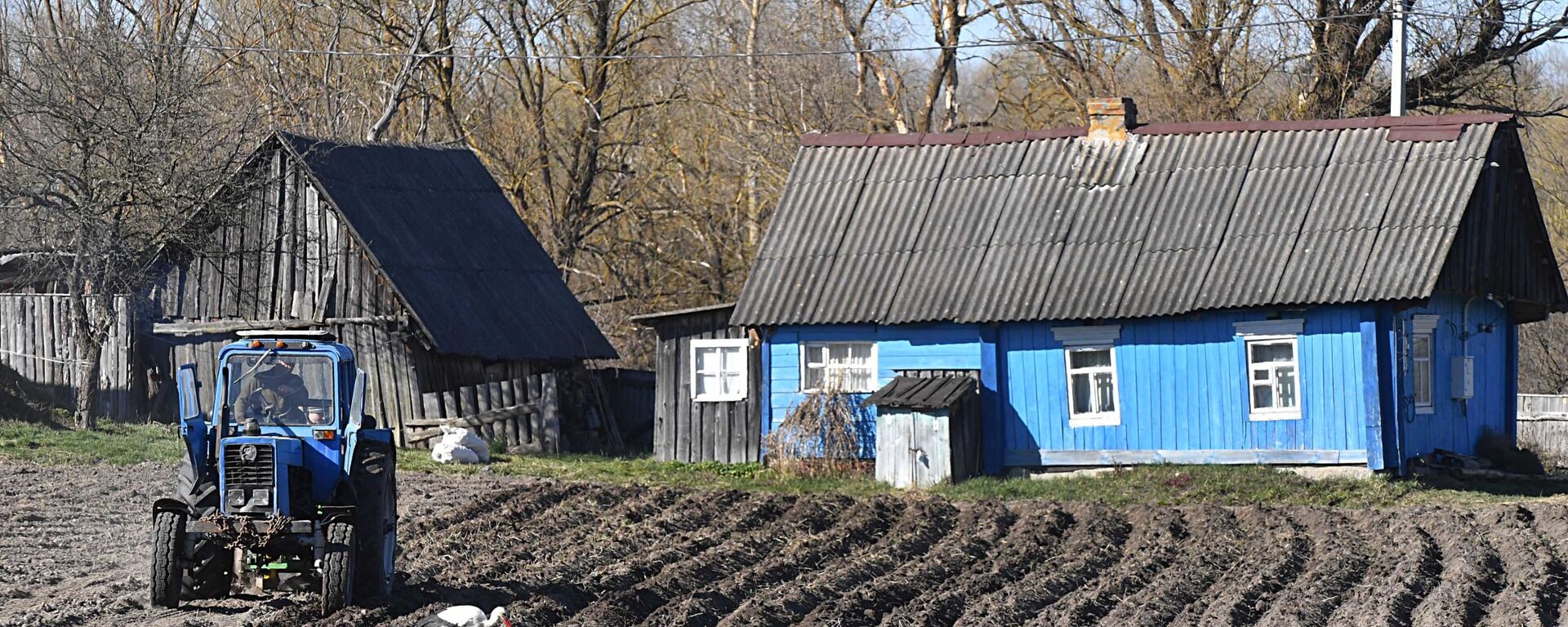 В деревне Переров на Полесье идет сев картофеля - Sputnik Беларусь, 1920, 03.04.2026