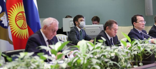 Заседание Евразийского межправительственного совета Заседание Евразийского межправительственного совета - Sputnik Беларусь