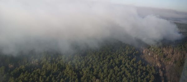 Лесной пожар в зоне отчуждения Чернобыльской АЭС - Sputnik Беларусь