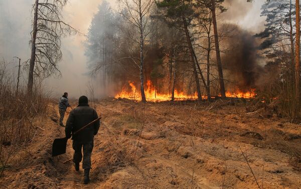 Сотрудники лесничества во время тушения огня, возникшего в районе села Полесское - Sputnik Беларусь