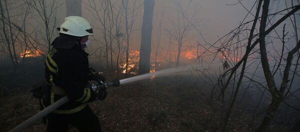 Пожар дошел до границы села Раговка, на территории зоны отчуждения Чернобыльской АЭС  - Sputnik Беларусь
