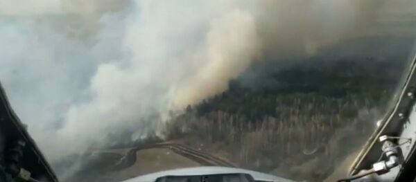 Авиация МЧС продолжает тушение крупного лесного пожара в Лельчицком районе - Sputnik Беларусь