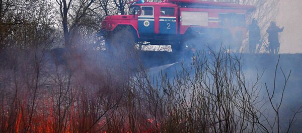 Спасатели МЧС тушат пожары на Полесье - Sputnik Беларусь