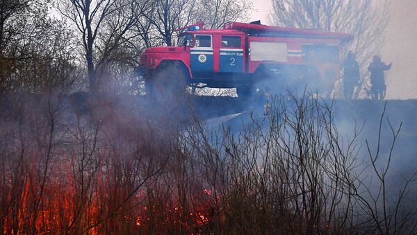 Спасатели МЧС тушат пожары на Полесье - Sputnik Беларусь