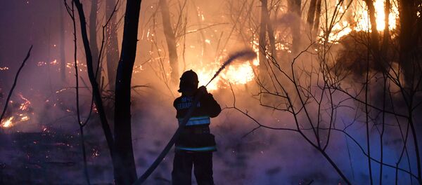 Спасатели МЧС тушат пожары на Полесье - Sputnik Беларусь