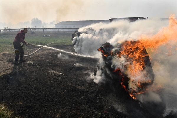 Пожар у животноводческой фермы около деревни на Полесье - Sputnik Беларусь