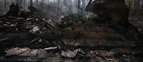 Пожар в зоне отчуждения Чернобыльской АЭС - Sputnik Беларусь