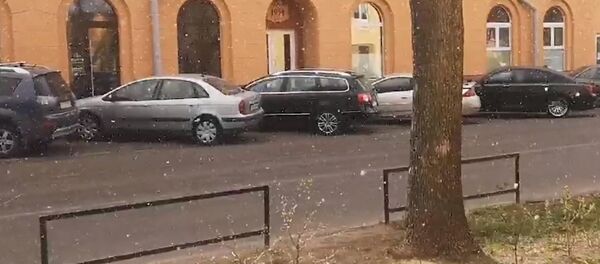 Апрельский снег замечен в Минске – без паники, он совсем маленький! - Sputnik Беларусь