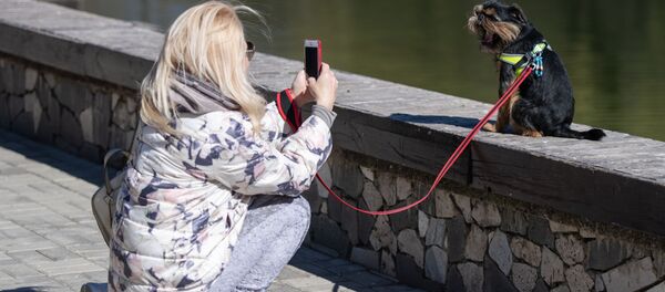 Девушка фотографирует собаку Девушка фотографирует собаку - Sputnik Беларусь