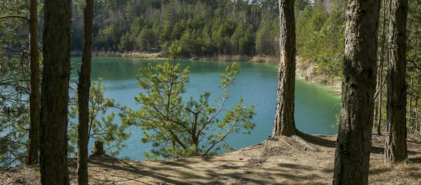 Старые меловые карьеры в Любани весной - Sputnik Беларусь