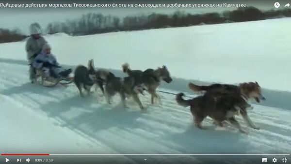 Ничего необычного: морпехи в бою на лыжах и ездовых упряжках – видео - Sputnik Беларусь