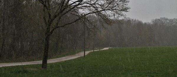 Дождь со снегом - Sputnik Беларусь