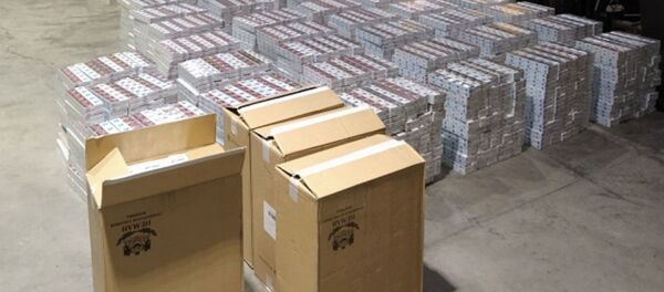 Таможенники Литвы задержали белоруса за попытку ввоза контрабандных сигарет на 300 тысяч евро  - Sputnik Беларусь