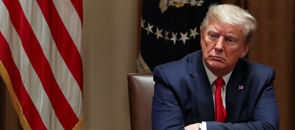 Президент США Дональд Трамп Президент США Дональд Трамп - Sputnik Беларусь