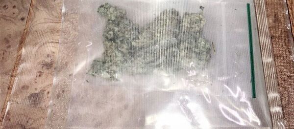 Жителю Гродно из Нидерландов пришло письмо с марихуаной Жителю Гродно из Нидерландов пришло письмо с марихуаной - Sputnik Беларусь