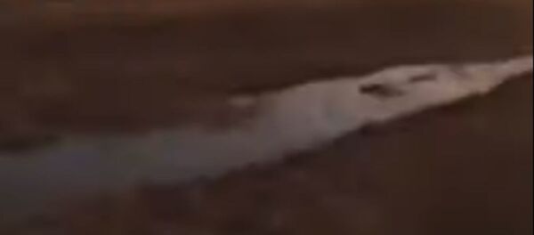 МиГ-31 потерпел крушение под Карагандой - Sputnik Беларусь