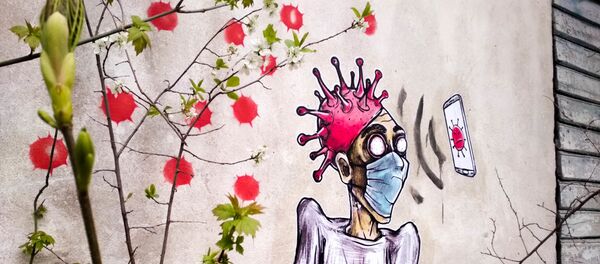 Граффити в Бресте о коронавирусе Граффити в Бресте о коронавирусе - Sputnik Беларусь