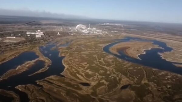 Ситуация в зоне отчуждения Чернобыльской АЭС, видео - Sputnik Беларусь