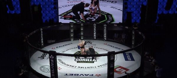 Пока Макгрегор на карантине: в Беларуси прошли поединки среди бойцов ММА Пока Макгрегор на карантине: в Беларуси прошли поединки среди бойцов ММА - Sputnik Беларусь