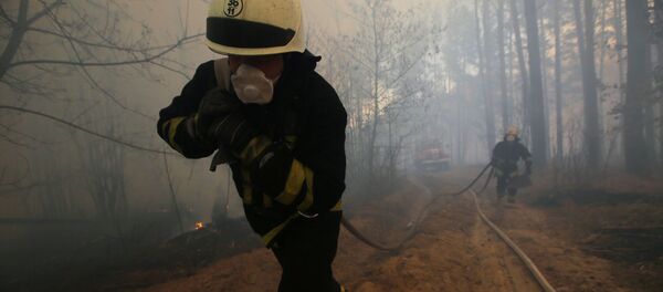 Пожарный в Зоне отчуждения Пожарный в Зоне отчуждения - Sputnik Беларусь