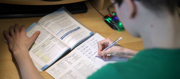 Дистанционное обучение школьников - Sputnik Беларусь