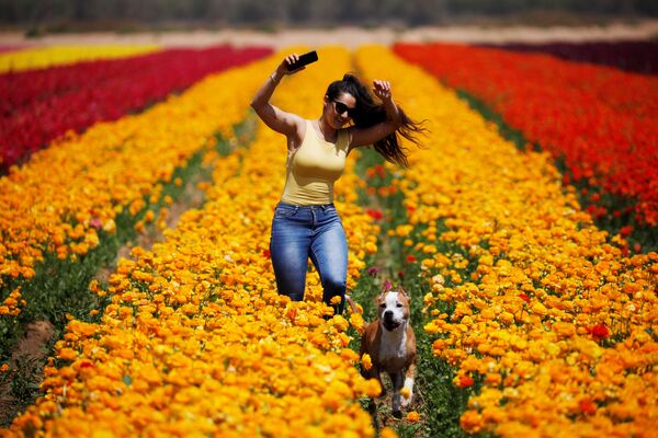 Девушка бежит с собакой по полю цветов лютика  - Sputnik Беларусь