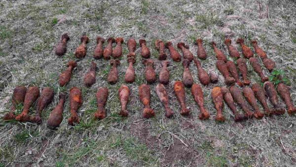 В Оршанском районе тракторист нашел мины времен Великой Отечественной войны - Sputnik Беларусь