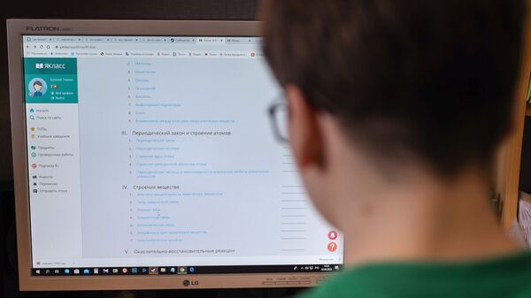 Школьник перед монитором компьютера - Sputnik Беларусь