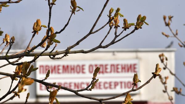 Минздрав определил график работы поликлиник и больниц в весенние праздники