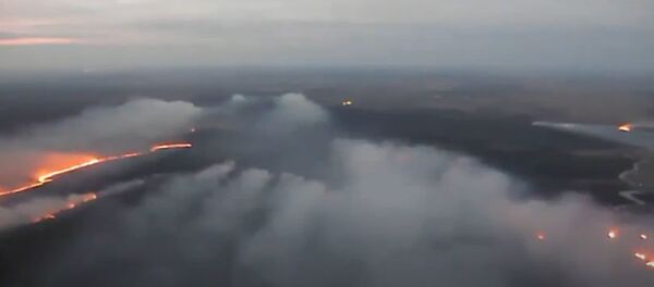 В Польше горит крупнейший в стране Бебжанский национальный парк - Sputnik Беларусь