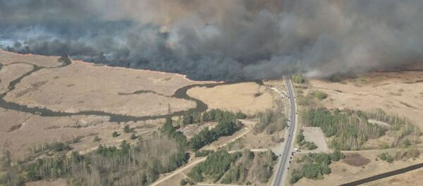 Крупный природный пожар произошел в Дрогичинском районе - Sputnik Беларусь