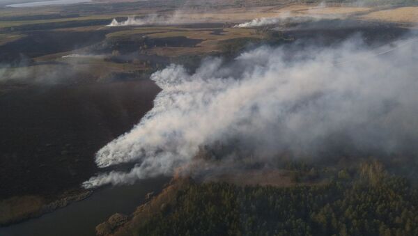 Природный пожар уничтожил 12 строений в деревне Дрогичинского района - Sputnik Беларусь