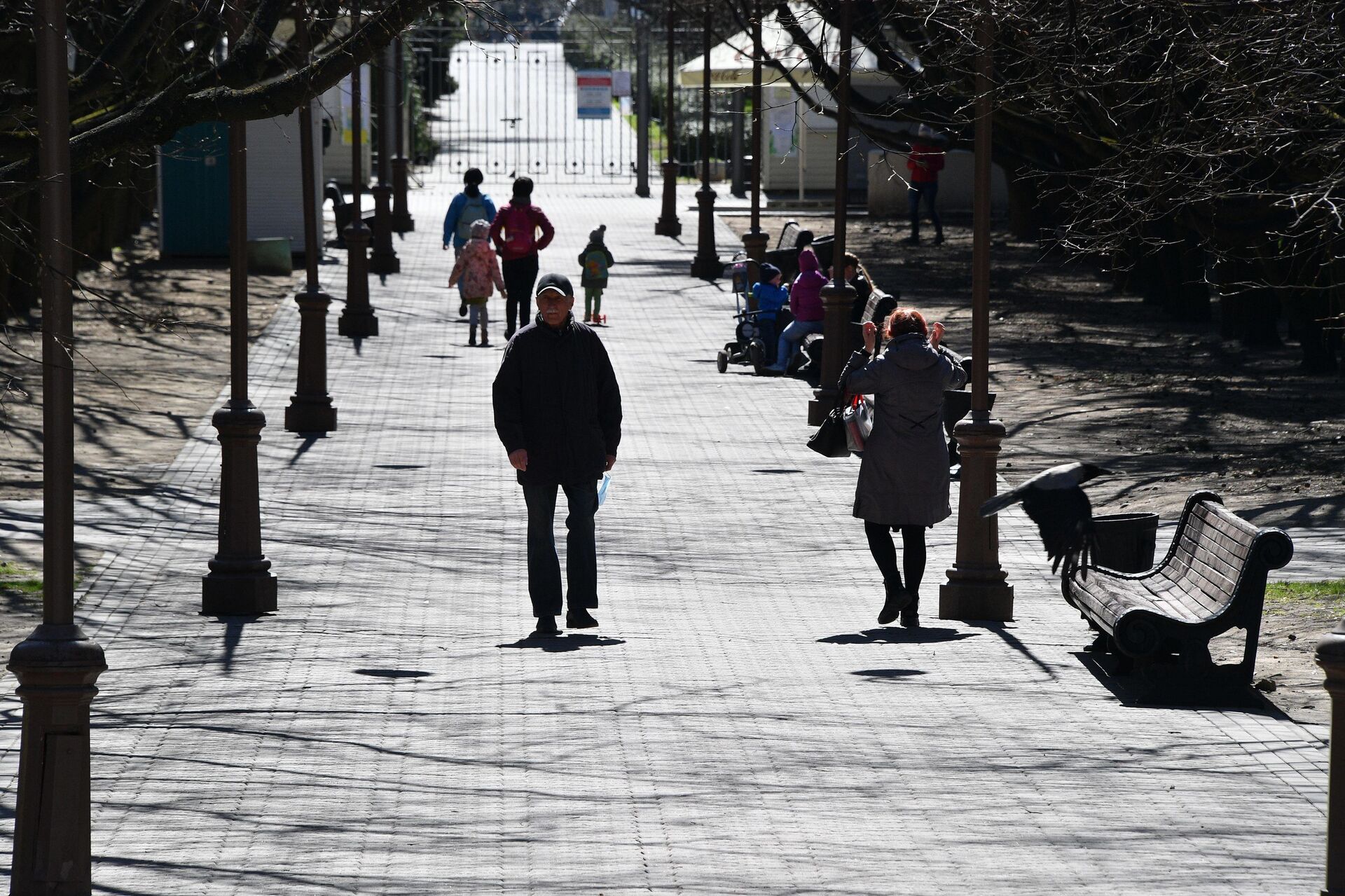 Ботанический сад - Sputnik Беларусь, 1920, 17.03.2026