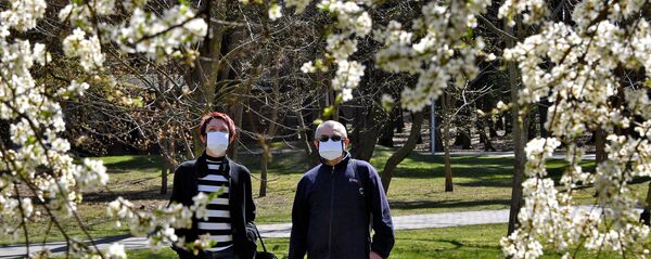 Мужчина и женщина в защитных масках возле цветущего дерева в парке Челюскинцев в Минске - Sputnik Беларусь