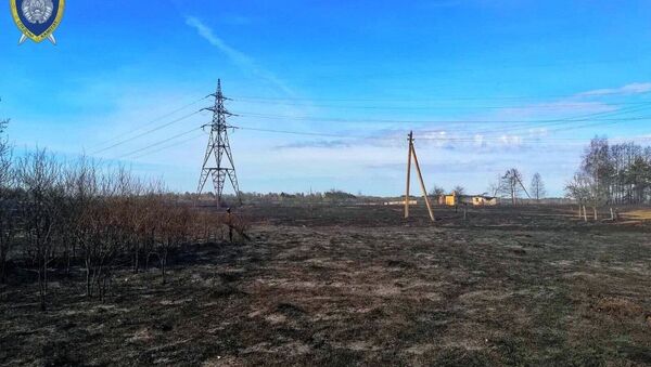 Последствия пожара в Дрогичинском районе - Sputnik Беларусь