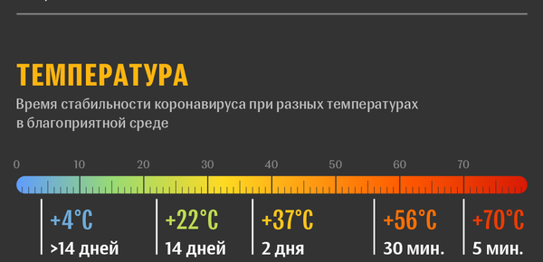 COVID-19: время жизни коронавируса в различных условиях | Инфографика sputnik.by - Sputnik Беларусь