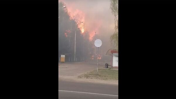 Сильный лесной пожар добрался до окраин Бреста - Sputnik Беларусь