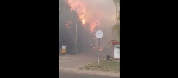 Сильный лесной пожар добрался до окраин Бреста - Sputnik Беларусь