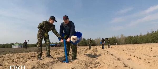 Президент Беларуси Александр Лукашенко сажает лес, видео Президент Беларуси Александр Лукашенко сажает лес, видео - Sputnik Беларусь