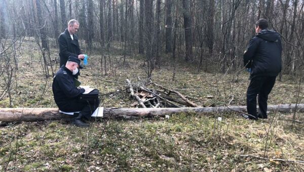 Погибший был найден в лесном массиве вблизи деревни Гулевичи Калинковичского района  - Sputnik Беларусь