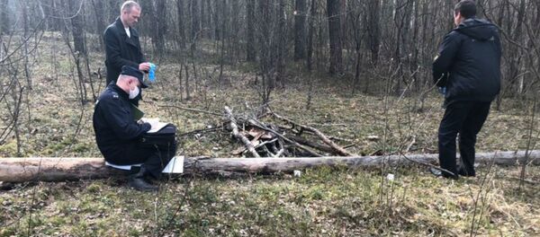 Погибший был найден в лесном массиве вблизи деревни Гулевичи Калинковичского района  - Sputnik Беларусь