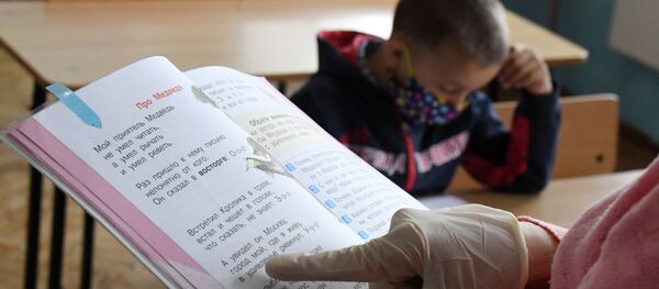 Настаўнік вядзе ўрок - Sputnik Беларусь