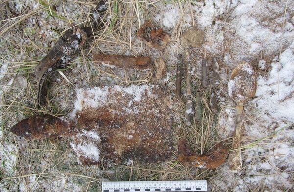 Найденные под Рогачевом останки принадлежат бойцу Красной армии Найденные под Рогачевом останки принадлежат бойцу Красной армии - Sputnik Беларусь