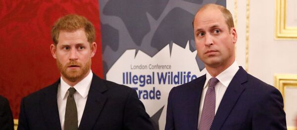 Принц Гарри и принц Уильям - Sputnik Беларусь