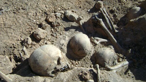Человеческие останки, найденные поисковиками на месте лагеря для военнопленных Шталаг-352 в Масюковщине - Sputnik Беларусь