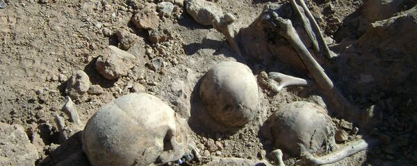 Человеческие останки, найденные поисковиками на месте лагеря для военнопленных Шталаг-352 в Масюковщине - Sputnik Беларусь