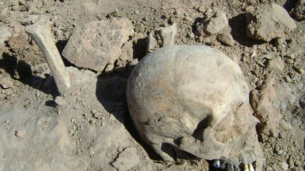 С начала апреля нынешнего года военные поисковики обнаружили на месте раскопок останки 57 человек - Sputnik Беларусь