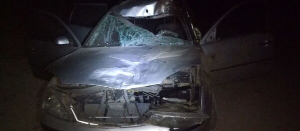 Ford сбил лося в Ошмянском районе - Sputnik Беларусь