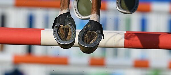 Соревнования по верховой езде в современном пятиборье - Sputnik Беларусь